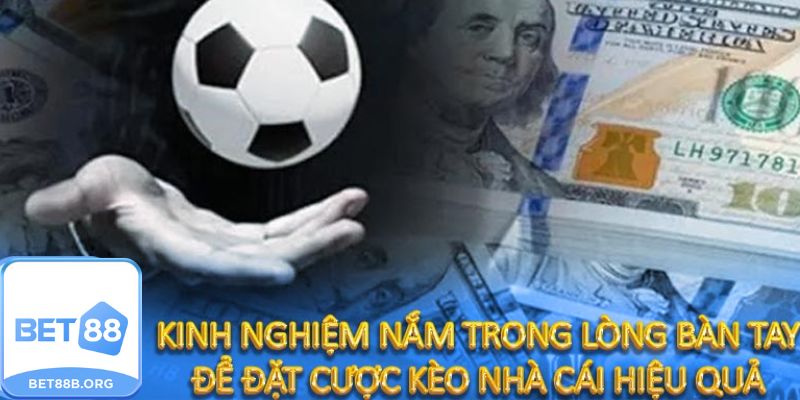 Những Lưu Ý Quan Trọng Khi Đặt Cược Kèo Nhà Cái